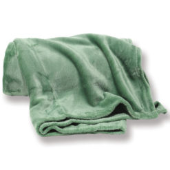 Plaid-Color-Green