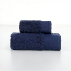 Viso-Ospite-Color-Blu1.jpg