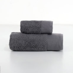 Viso-+-Ospite-Color-Fumo1