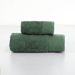 Viso-Ospite-Color-Muschio1.jpg