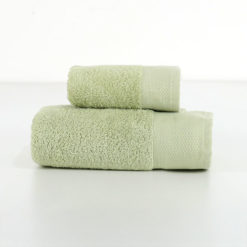 Viso-+-Ospite-Color-Verdino1
