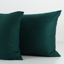 Coppia-Federe-Arcobaleno-Bosco