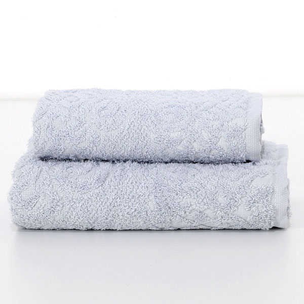 Viso-+-Ospite-Emy-Polvere